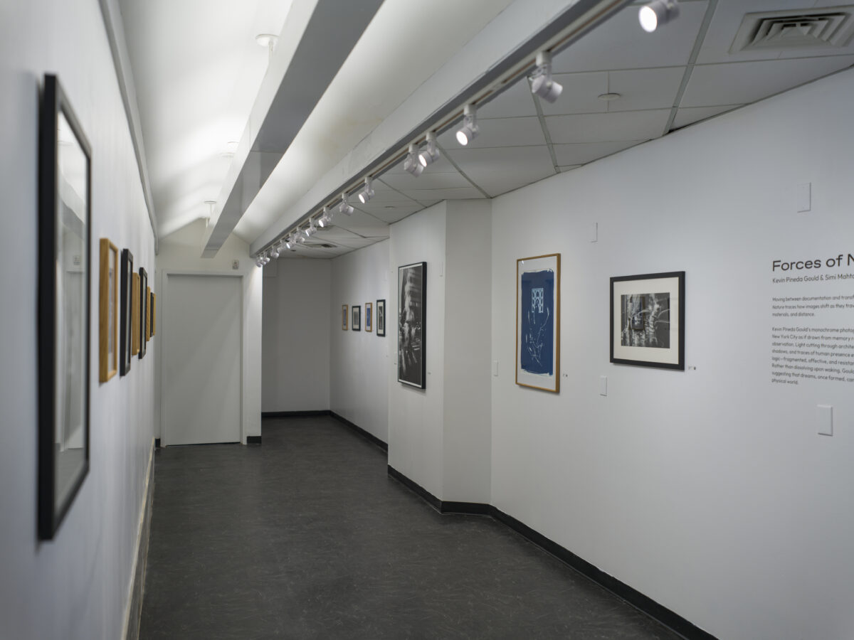 Greenpoint This Week: Art Gallery at Cannabis Dispensary, City Council Approves Monitor Point, and More