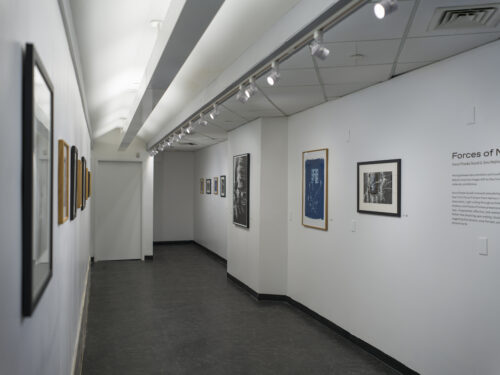 Greenpoint This Week: Art Gallery at Cannabis Dispensary, City Council Approves Monitor Point, and More