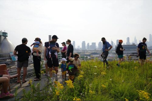 Kingsland Wildflowers Festival Celebrates 10 Years in Greenpoint
